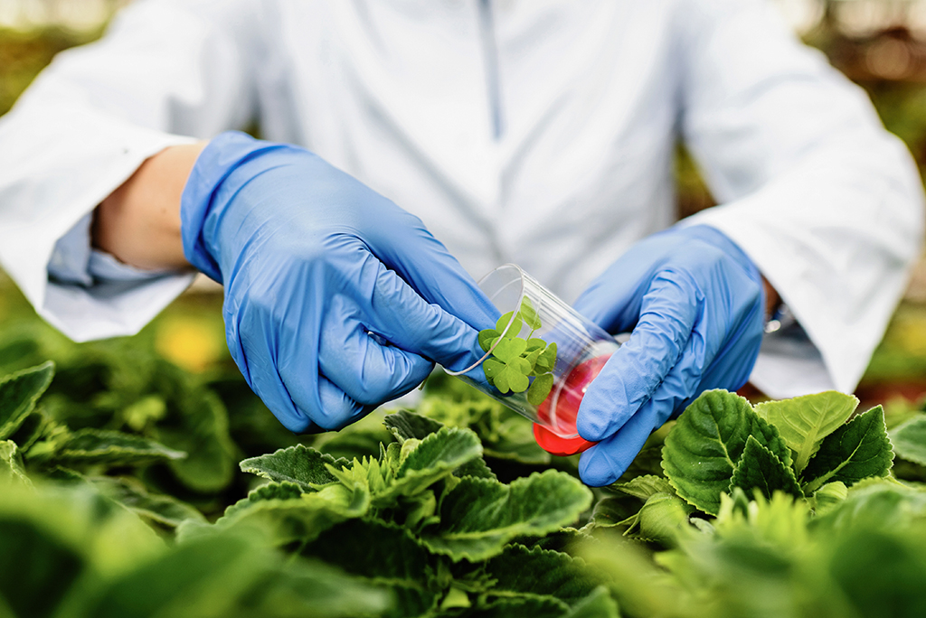 Specialists in biotechnology for agriculture.